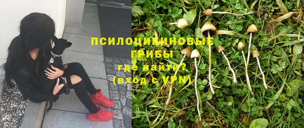ешки Аркадак