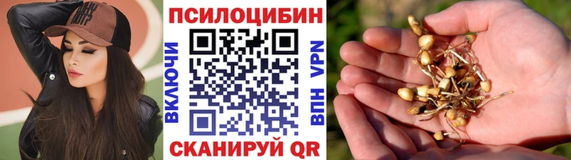 Галлюциногенные грибы мицелий  где продают   Новокубанск 